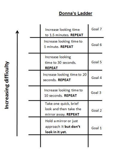 Donnas ladder