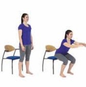 Sit to stand squats