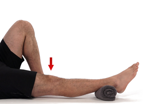 A knee extension